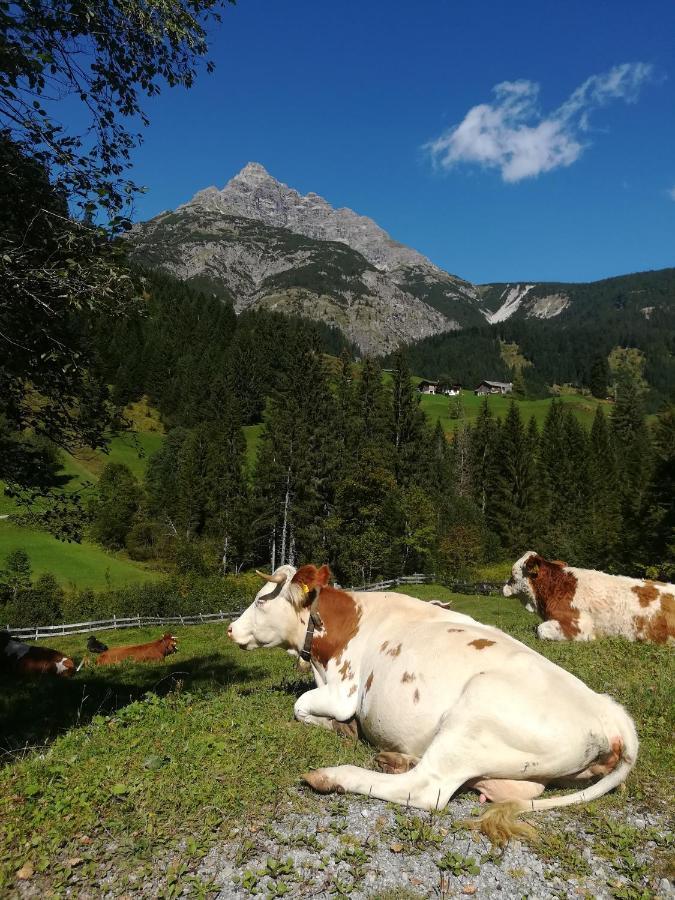 Apart-Alpin Stanzach Eksteriør billede